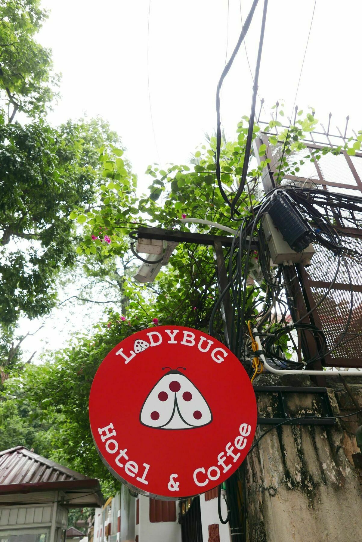 Ladybug Boutique Villa ฮานอย ภายนอก รูปภาพ